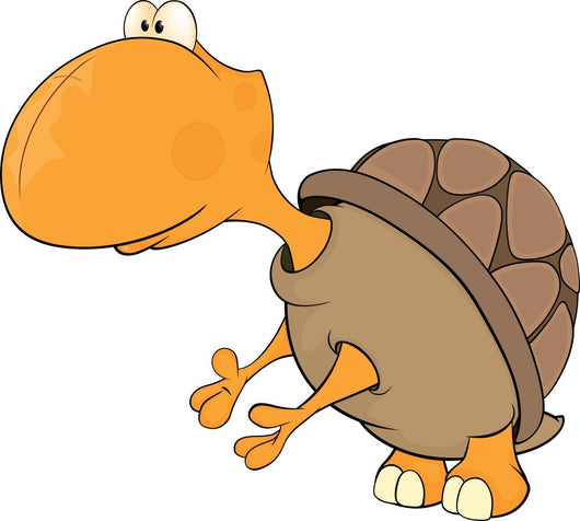 Turtle cartoon Wall Decal