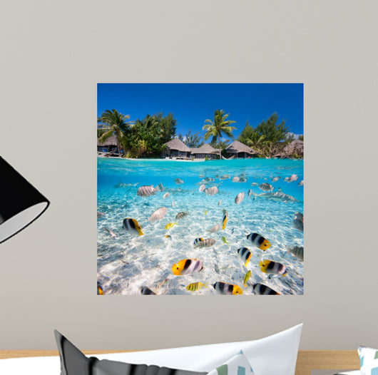 Tropical island under and above water 