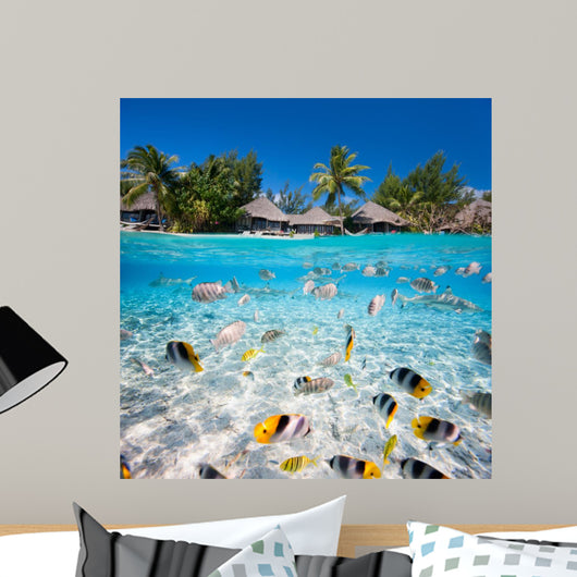 Tropical island under and above water 