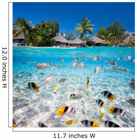 Tropical island under and above water 