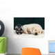 Labrador Puppy Sleeping Blanket Wall Decal