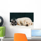 Labrador Puppy Sleeping Blanket Wall Decal