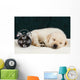 Labrador Puppy Sleeping Blanket Wall Decal