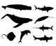 Set Silhouettes Fish Whale Wall Decal Sticker Set