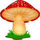 Mushroom 