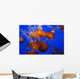 Jellyfish Wall Decal