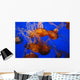 Jellyfish Wall Decal