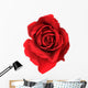 Red Rose Wall Decal