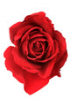 Red Rose Wall Decal