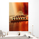 Acoustic guitar bridge and strings close up Wall Mural
