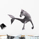 Hippocampus Mermaid's Horse Wall Decal