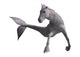 Hippocampus Mermaid's Horse Wall Decal