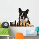 a boston terrier playing a game of chess Wall Mural