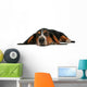 Bassett Hound Lying Down Wall Decal
