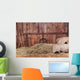 Wood and hay background 