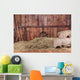 Wood and hay background 