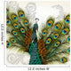 Fancy Detail Peacock Wall Mural