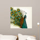 Detailed Peacock Wall Mural