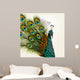 Detailed Peacock Wall Mural