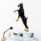 Doberman Pinscher Wall Decal