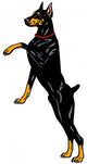 Doberman Pinscher Wall Decal
