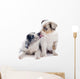 Puppy Border Collie Wall Decal