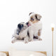Puppy Border Collie Wall Decal