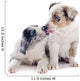 Puppy Border Collie Wall Decal