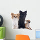 Three Little Dogs 