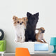 Three Little Dogs 