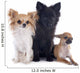 Three Little Dogs 