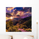 Mountain river near forest Wall Mural