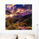 Mountain river near forest Wall Mural