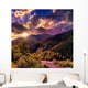 Mountain river near forest Wall Mural