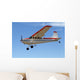 Cessna 180 coming in to land Wall Mural