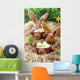 Easter Bunny Wall Decal Design 2