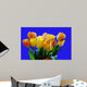 Tulpenstrauss Wall Mural