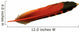 Orange Colored Feather of a Flicker Bird Wall Decal