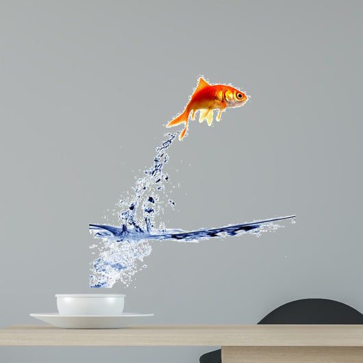 goldfish jumping out of the water 