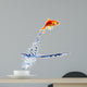 goldfish jumping out of the water 