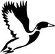 flying wild duck Wall Decal