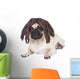 Rasta Pug Dog Wall Decal