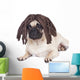 Rasta Pug Dog Wall Decal