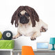 Rasta Pug Dog Wall Decal