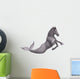 Hippocampus Mermaid's Horse 