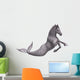 Hippocampus Mermaid's Horse 