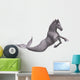 Hippocampus Mermaid's Horse 
