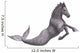 Hippocampus Mermaid's Horse 