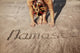 Yoga on the beach with Namaste Wall Mural