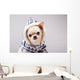 Puppy Coat Wall Decal